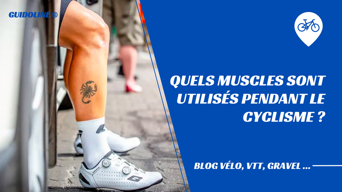 muscles-utilises-pendant-le-velo